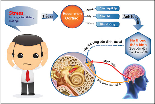 Stress gây ra nhiều bệnh lý nguy hiểm