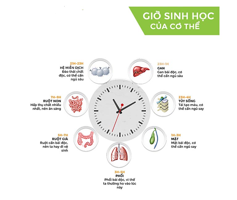 Rối loạn giấc ngủ có tự khỏi không?