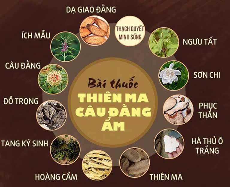 Rối loạn tiền đình theo Đông y 