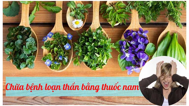 Chữa bệnh loạn thần bằng thuốc nam