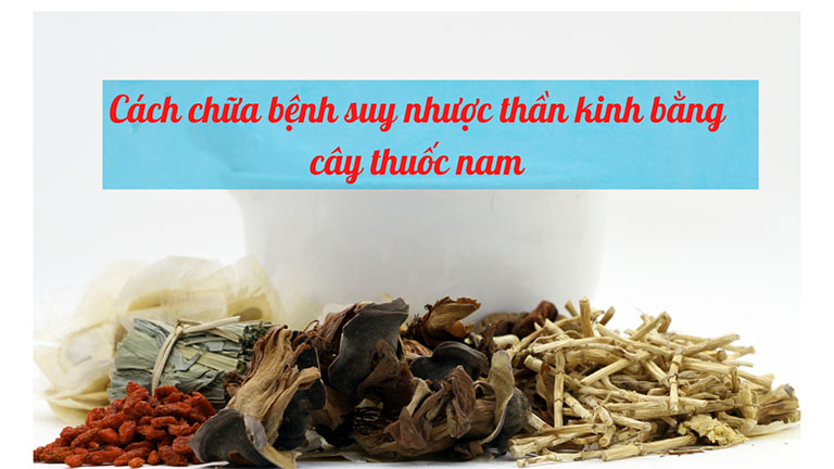 cây thuốc nam chữa suy nhược thần kinh