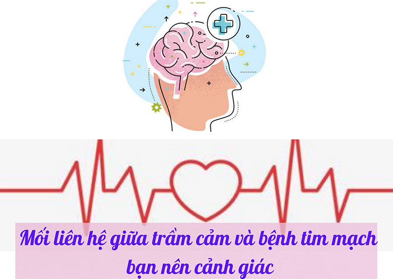 Mối liên hệ giữa trầm cảm và bệnh tim mạch