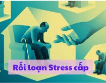 Rối loạn stress cấp