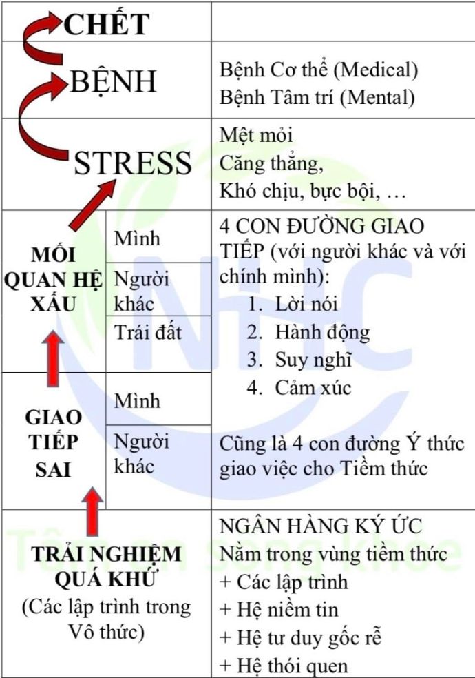 sơ đồ dẫn đến bệnh tật ở con người