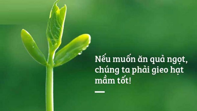 gieo hạt nào gặt quả nấy