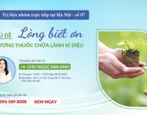 Buổi trị liệu nhóm trực tiếp tại Hà Nội số 07