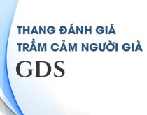 Thang đánh giá độ trầm cảm ở người già