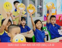 Giáo dục cảm xúc xã hội